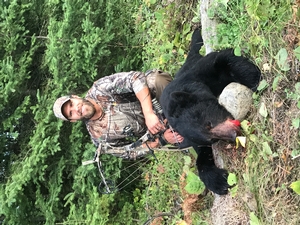 Bear Hunts